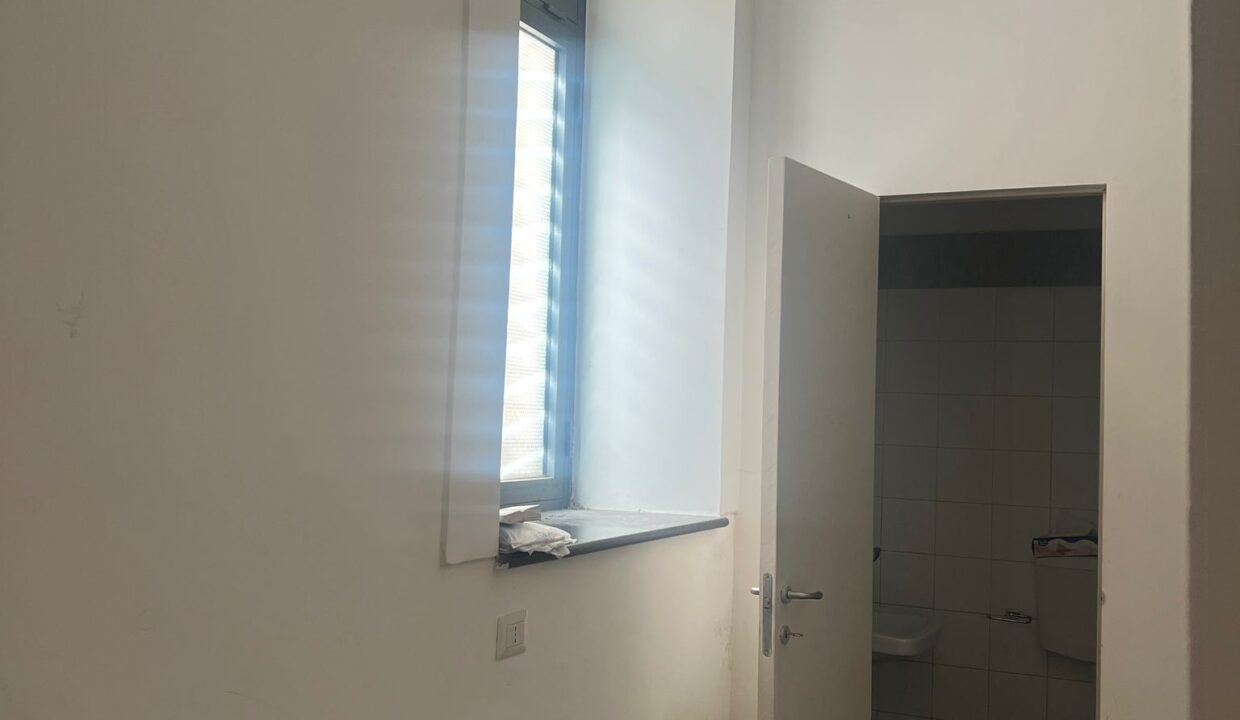 WhatsApp Image 2026-02-13 at 16.01.13 (1)