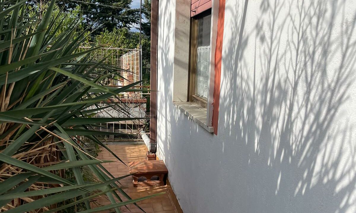WhatsApp Image 2025-05-19 at 12.16.57 (1)