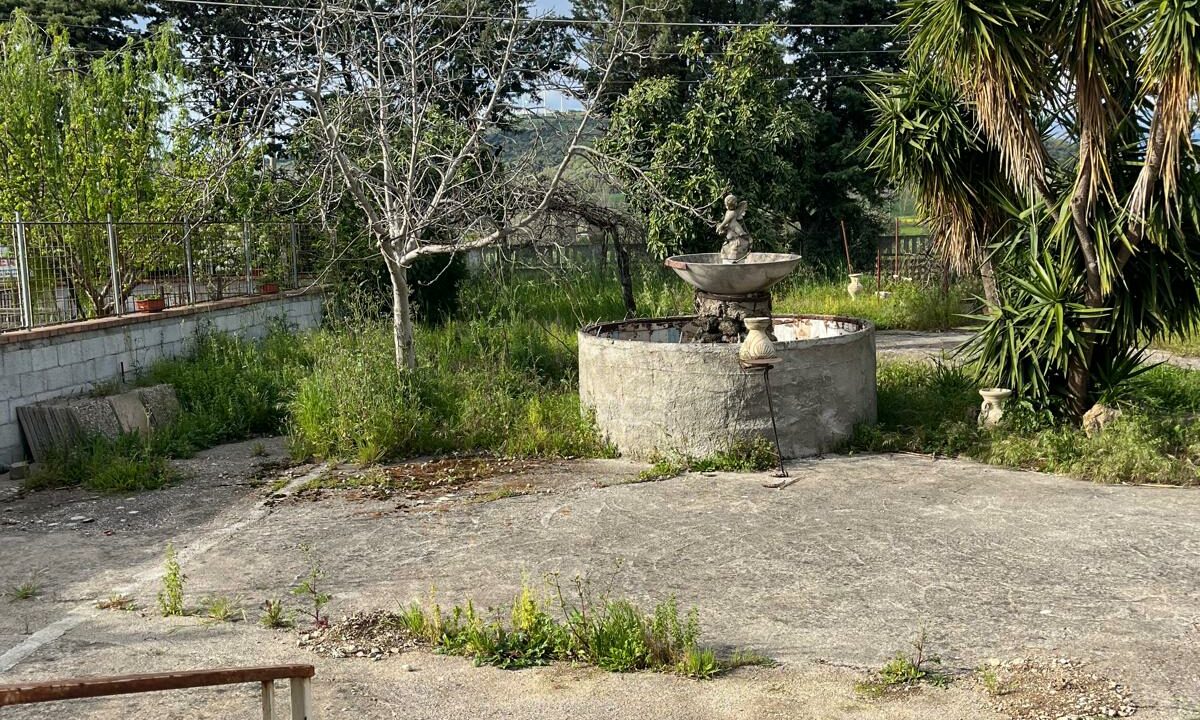 WhatsApp Image 2025-05-19 at 12.16.59 (4)