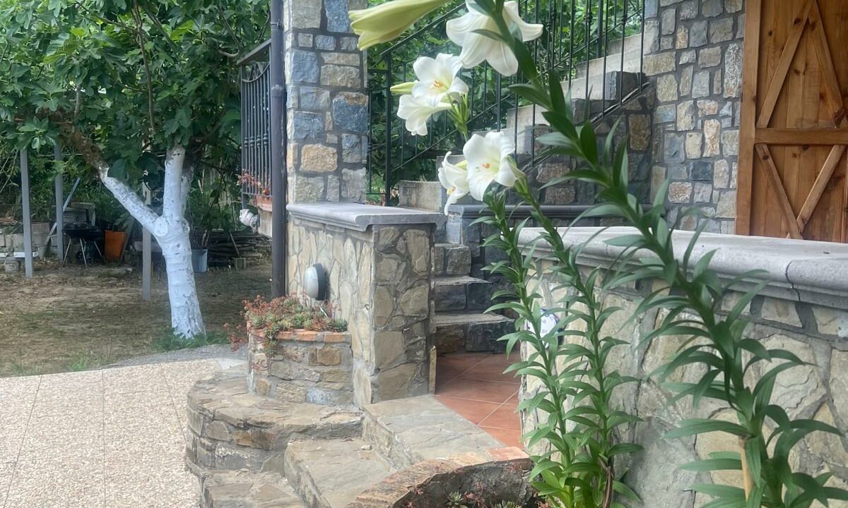WhatsApp Image 2025-05-31 at 11.27.44