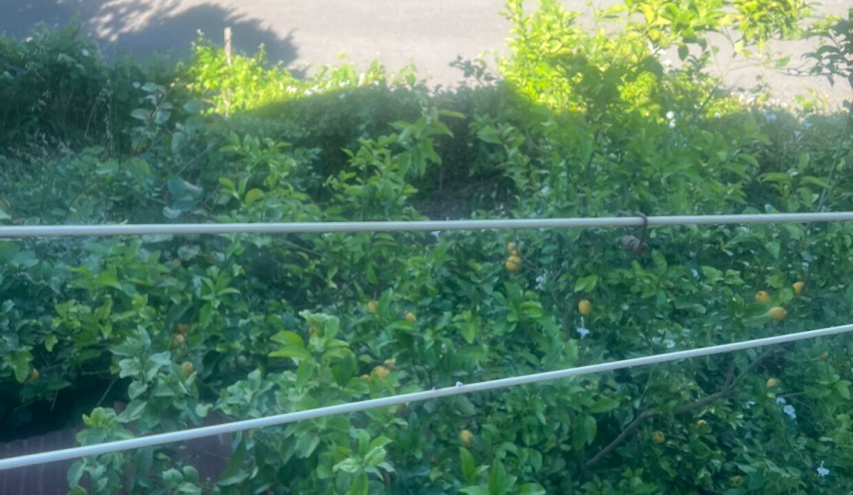 WhatsApp Image 2025-10-29 at 16.22.30 (6)