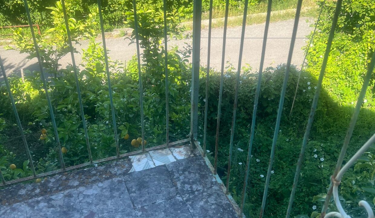 WhatsApp Image 2025-10-29 at 16.22.31 (2)