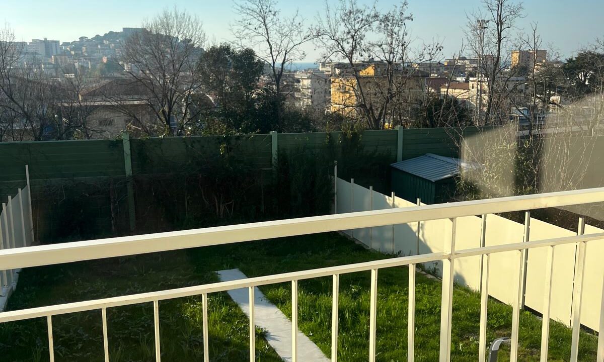 WhatsApp Image 2026-02-26 at 16.25.59