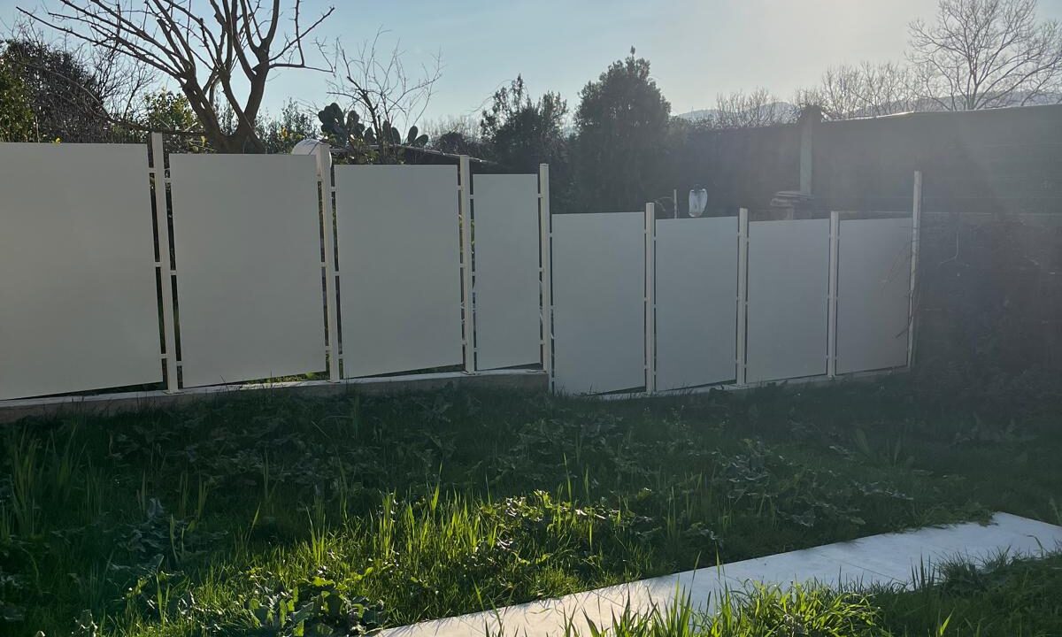 WhatsApp Image 2026-02-26 at 16.26.00 (3)