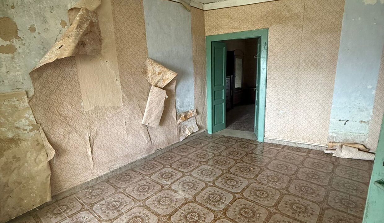 WhatsApp Image 2026-04-15 at 11.00.40 (4)