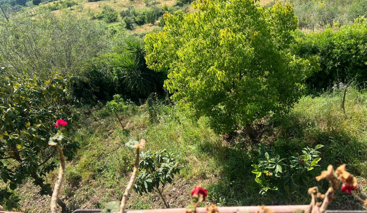 WhatsApp Image 2025-05-10 at 18.38.13 (3)