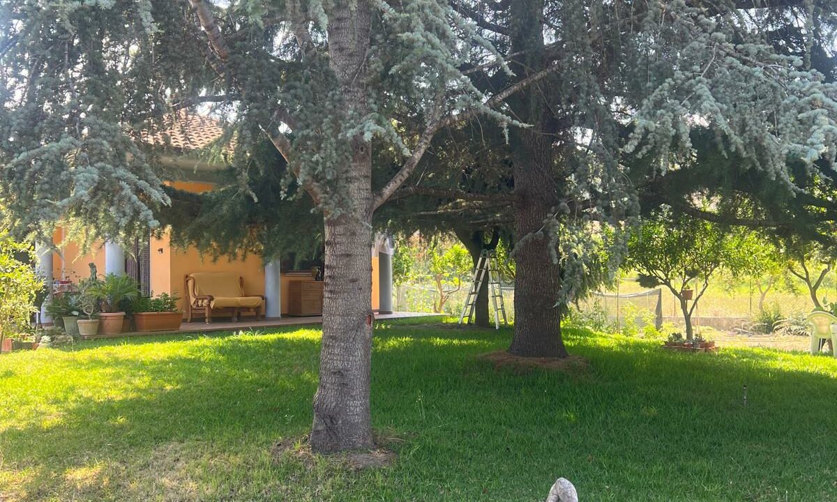 WhatsApp Image 2025-06-24 at 12.06.49 (3)