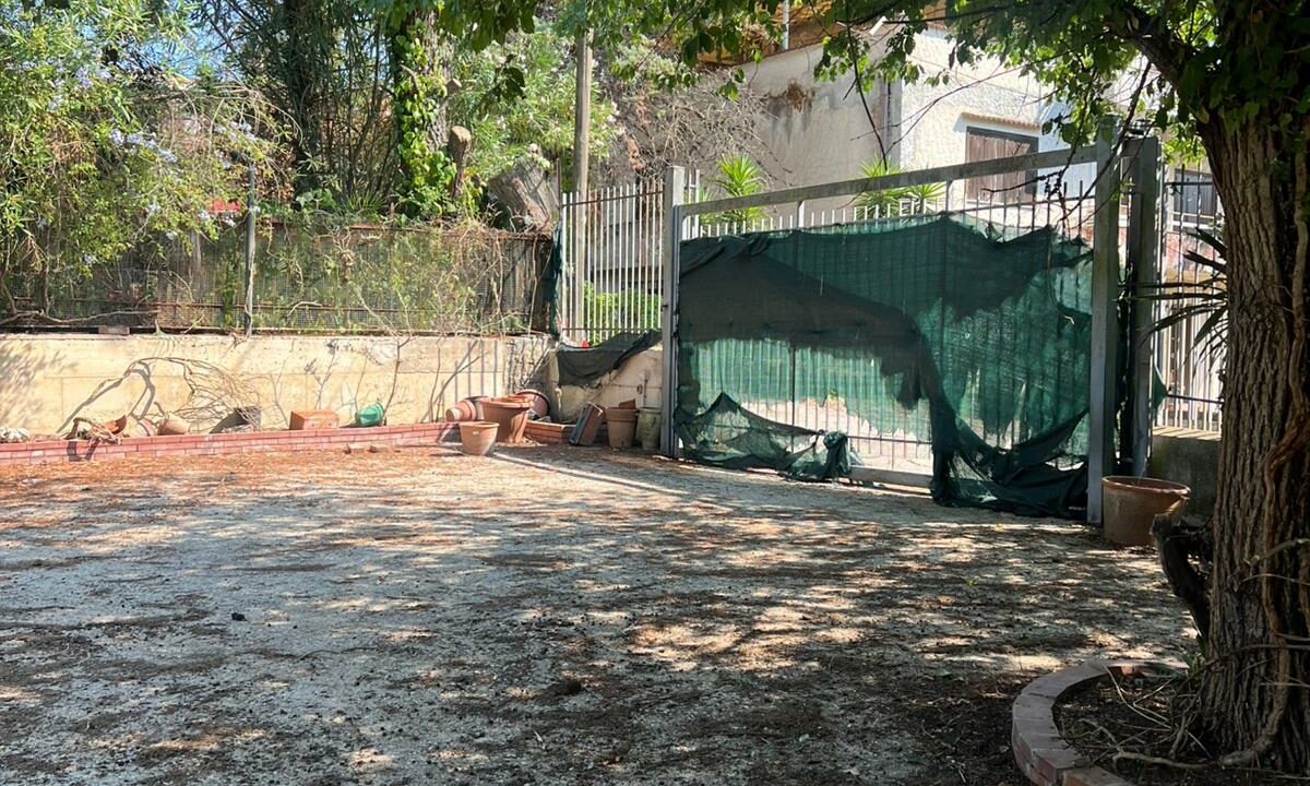 WhatsApp Image 2025-08-06 at 16.37.38 (3)