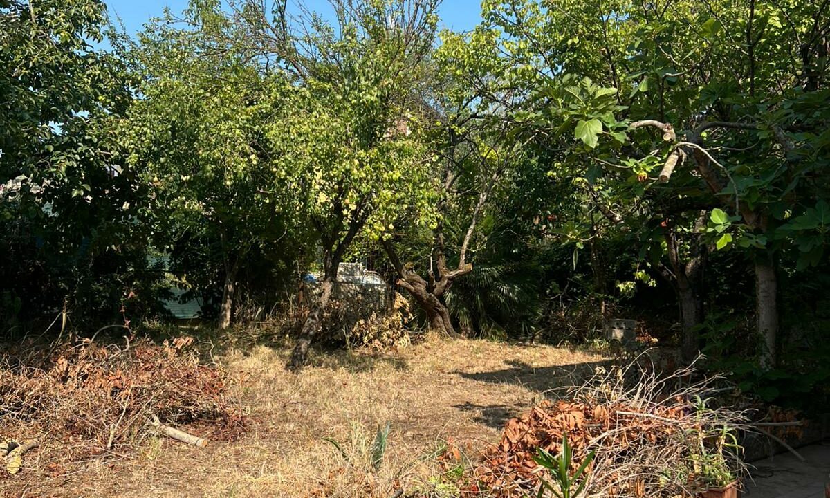 WhatsApp Image 2025-08-06 at 16.37.39 (1)