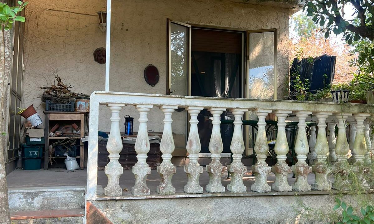 WhatsApp Image 2025-08-06 at 16.37.39