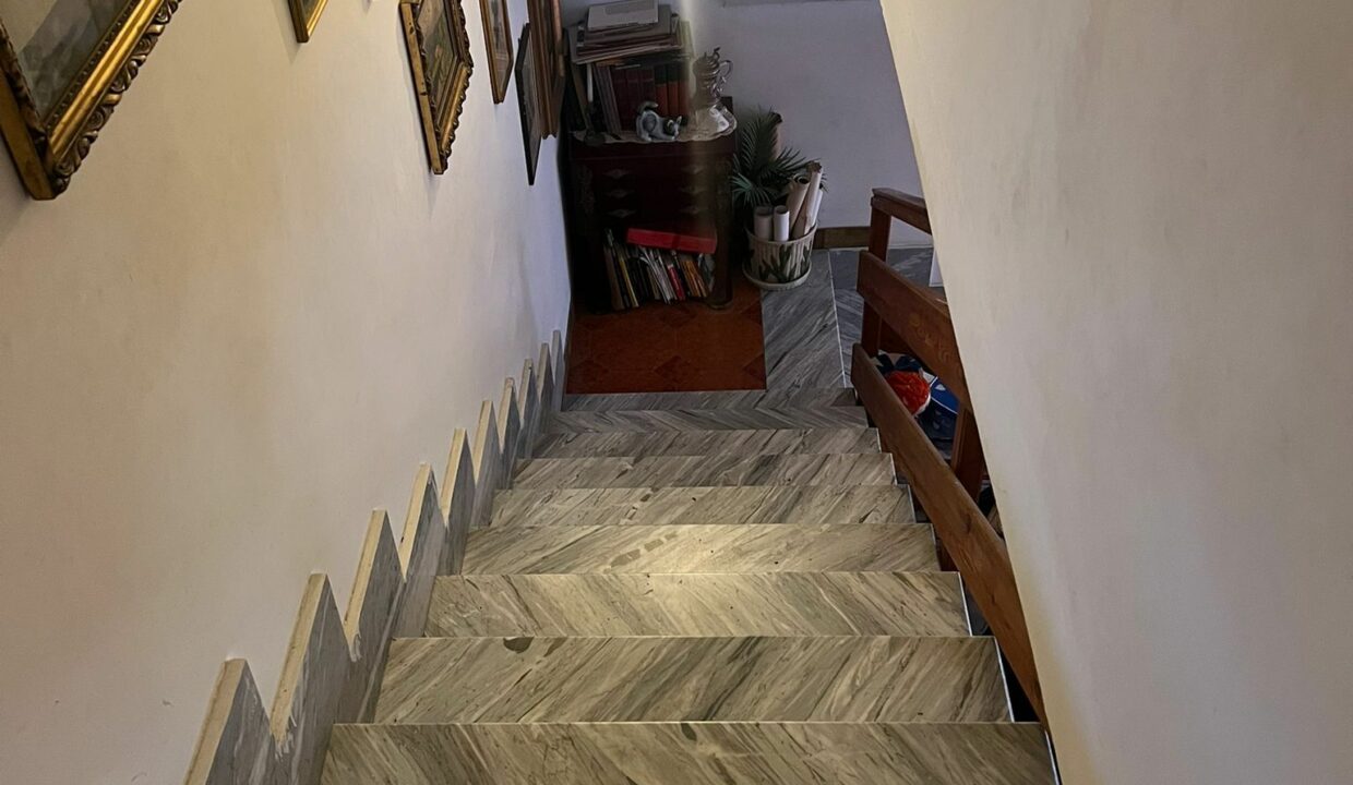 WhatsApp Image 2025-08-06 at 16.37.41