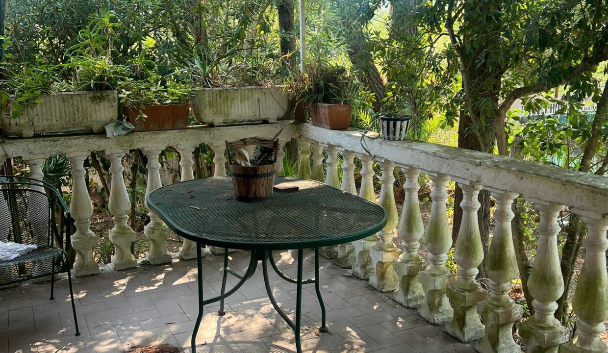 WhatsApp Image 2025-08-06 at 16.37.43 (1)