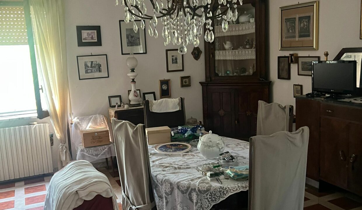 WhatsApp Image 2025-08-06 at 16.37.43 (3)