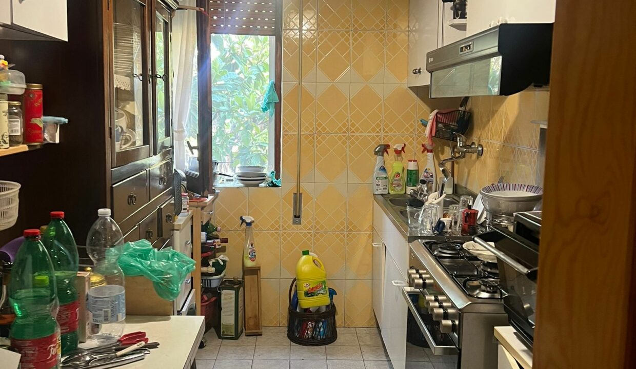 WhatsApp Image 2025-08-06 at 16.37.43 (4)