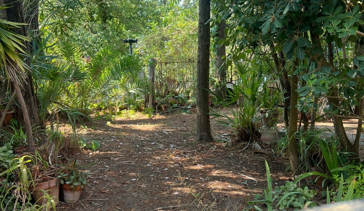 WhatsApp Image 2025-08-06 at 16.37.45 (1)