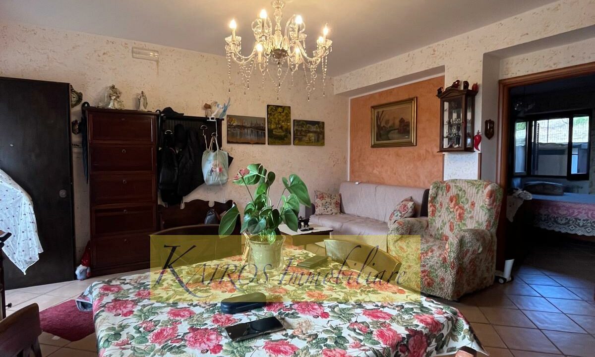 WhatsApp Image 2025-09-08 at 17.48.14 (5)