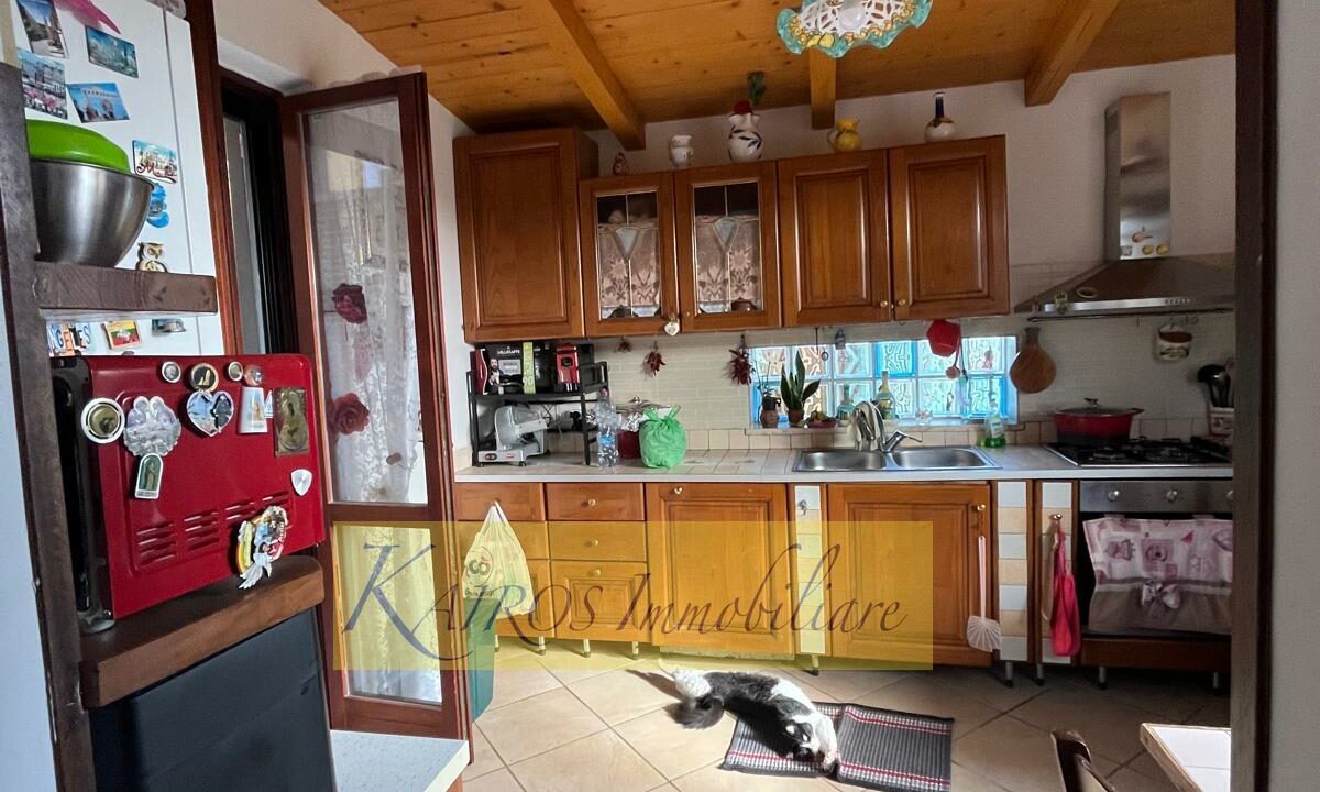 WhatsApp Image 2025-09-08 at 17.48.15 (2)