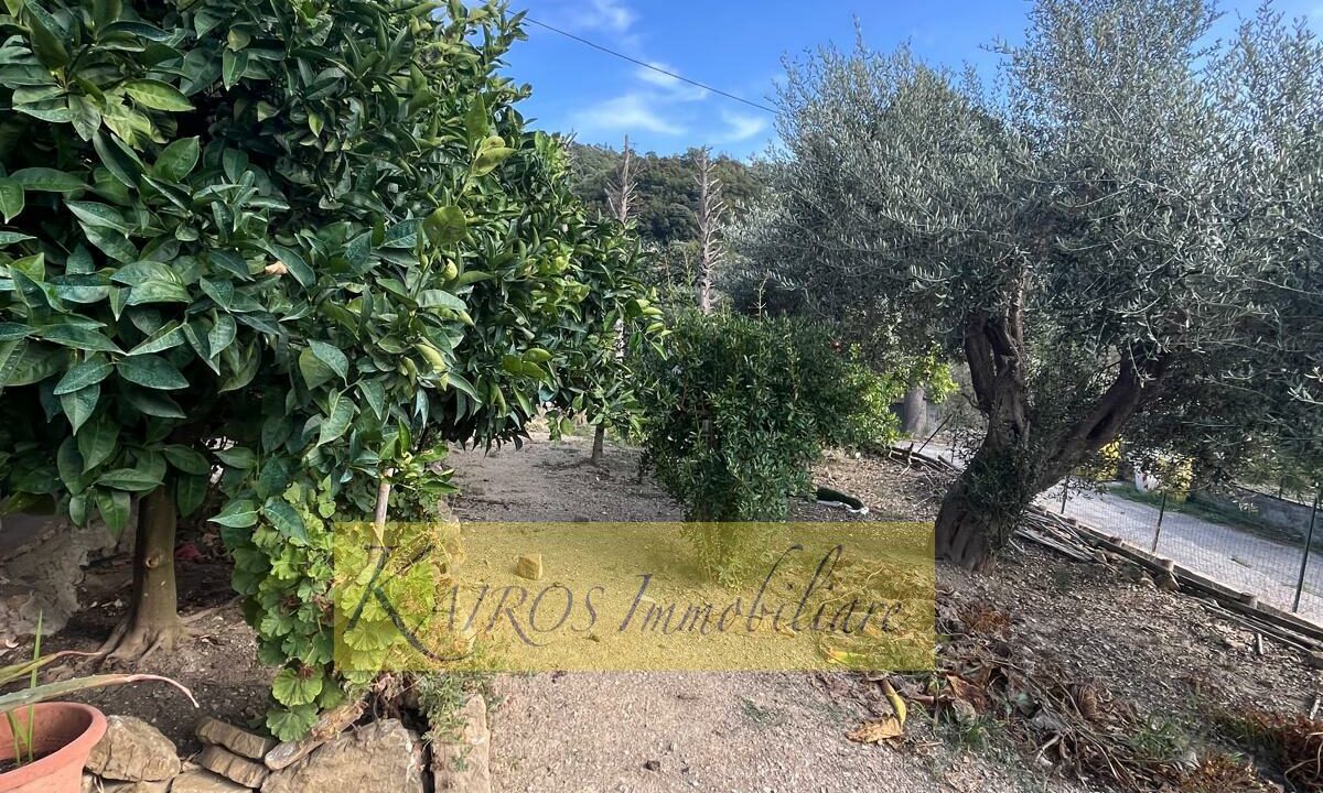 WhatsApp Image 2025-09-08 at 17.48.17 (1)