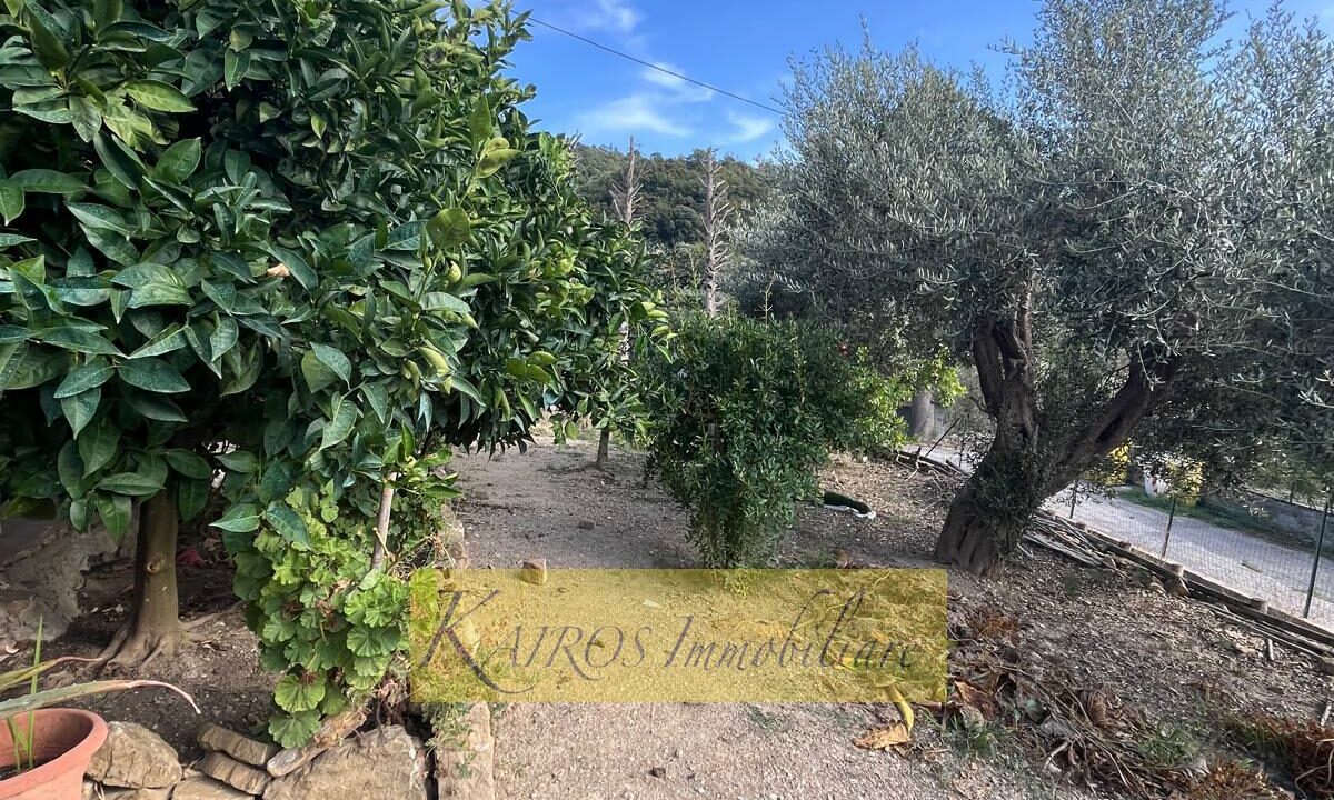 WhatsApp Image 2025-09-08 at 17.48.17 (1)