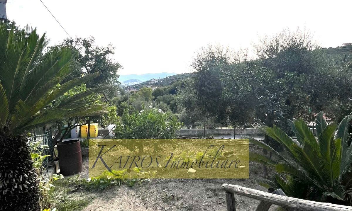 WhatsApp Image 2025-09-08 at 18.07.13