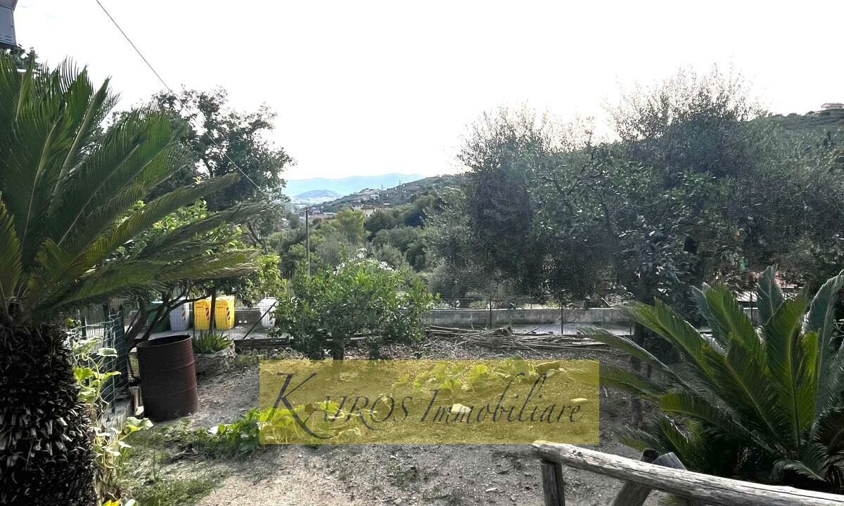 WhatsApp Image 2025-09-08 at 18.07.13