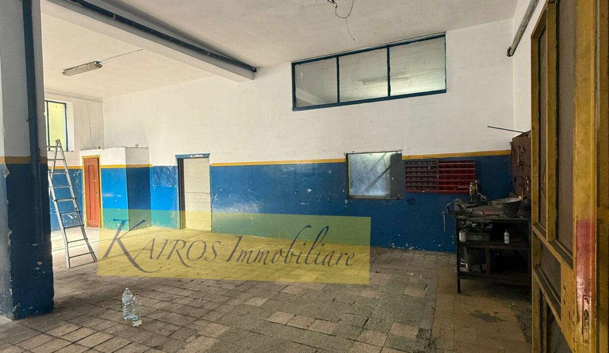 WhatsApp Image 2025-09-18 at 17.08.45 (4)