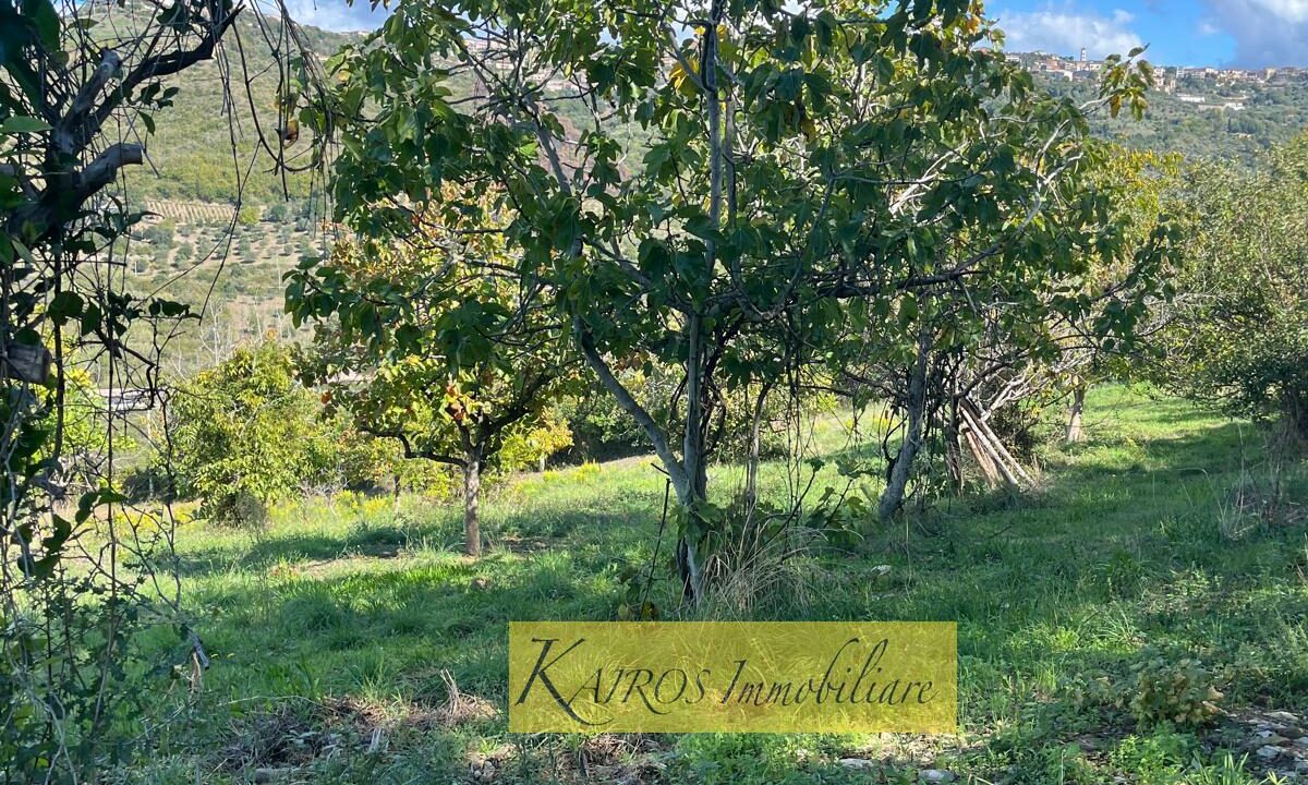 WhatsApp Image 2025-10-18 at 16.27.50 (1)