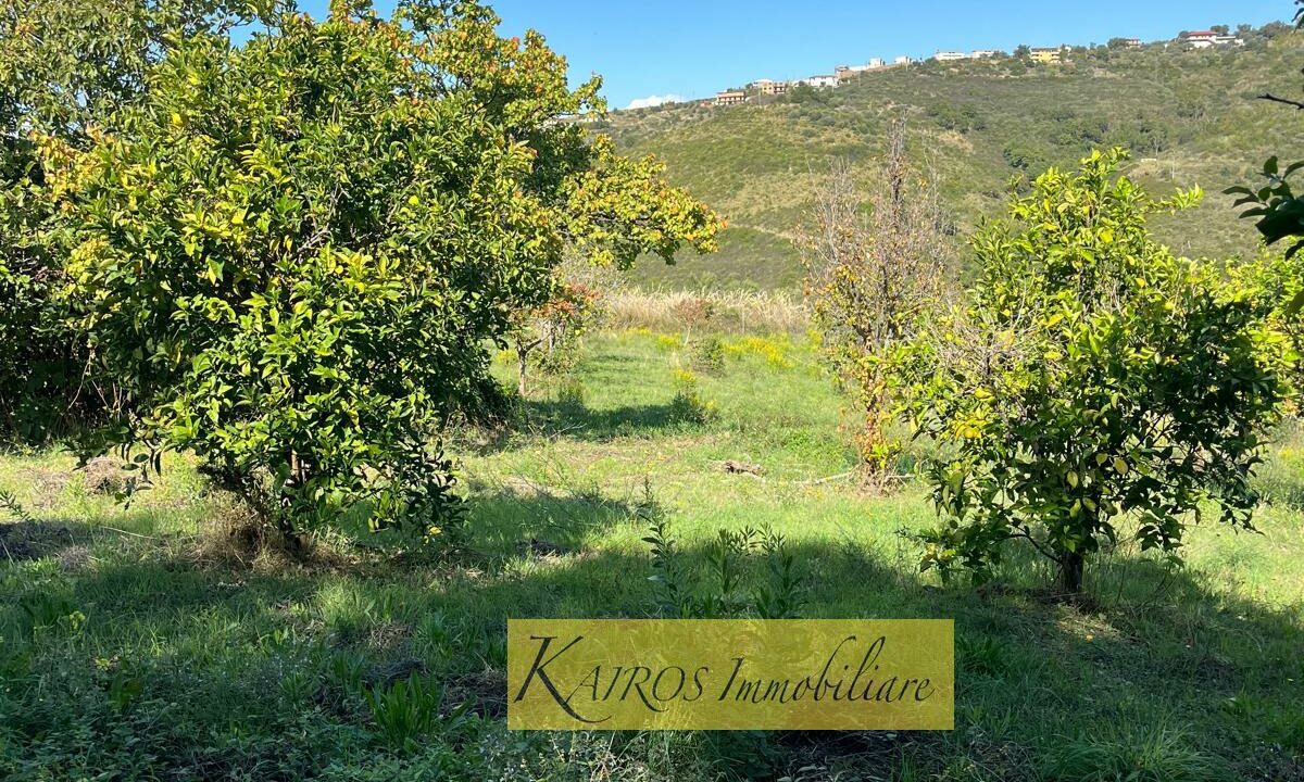 WhatsApp Image 2025-10-18 at 16.27.50