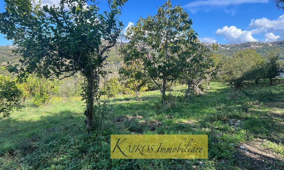 WhatsApp Image 2025-10-18 at 16.27.50 (2)