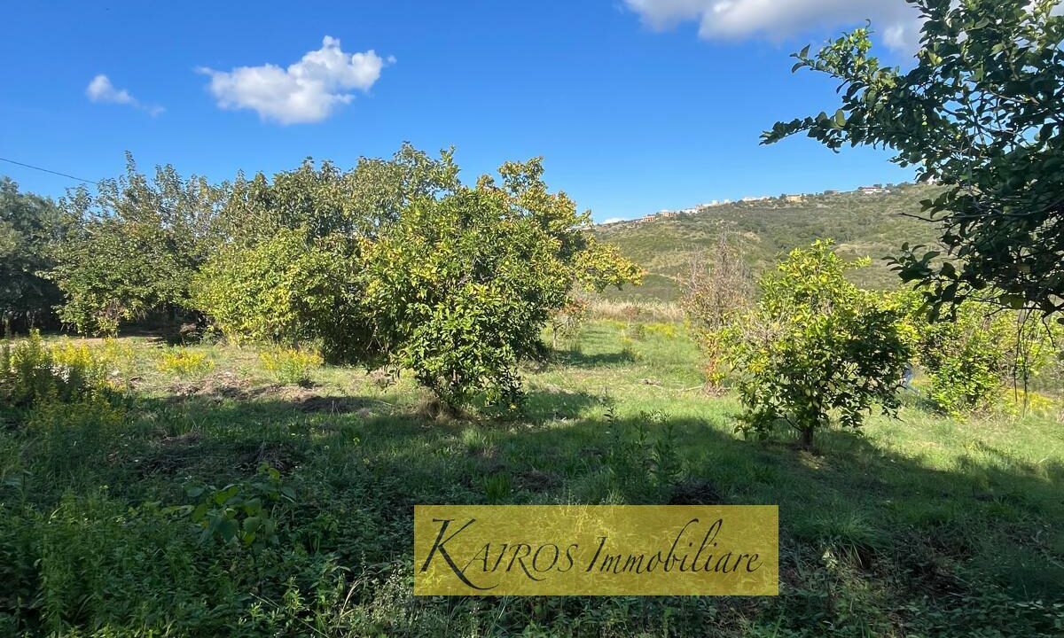 WhatsApp Image 2025-10-18 at 16.27.50 (3)