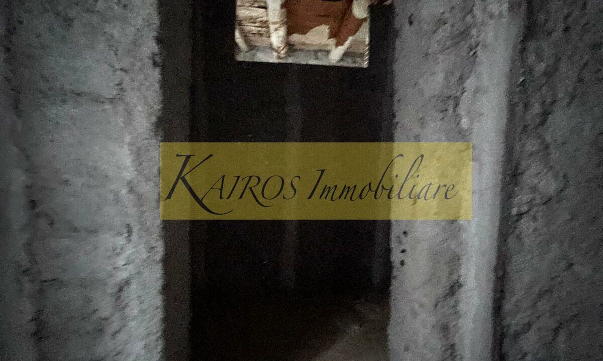 WhatsApp Image 2025-10-08 at 17.41.17