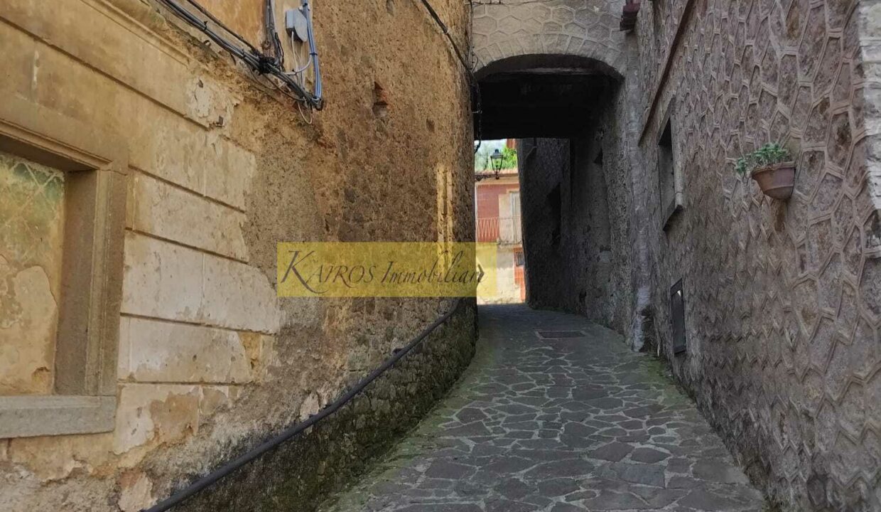 WhatsApp Image 2025-10-08 at 18.48.13 (1)