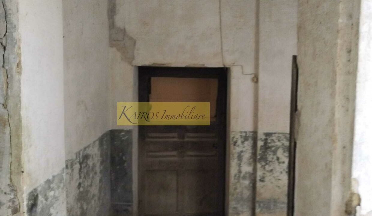 WhatsApp Image 2025-10-08 at 18.48.18