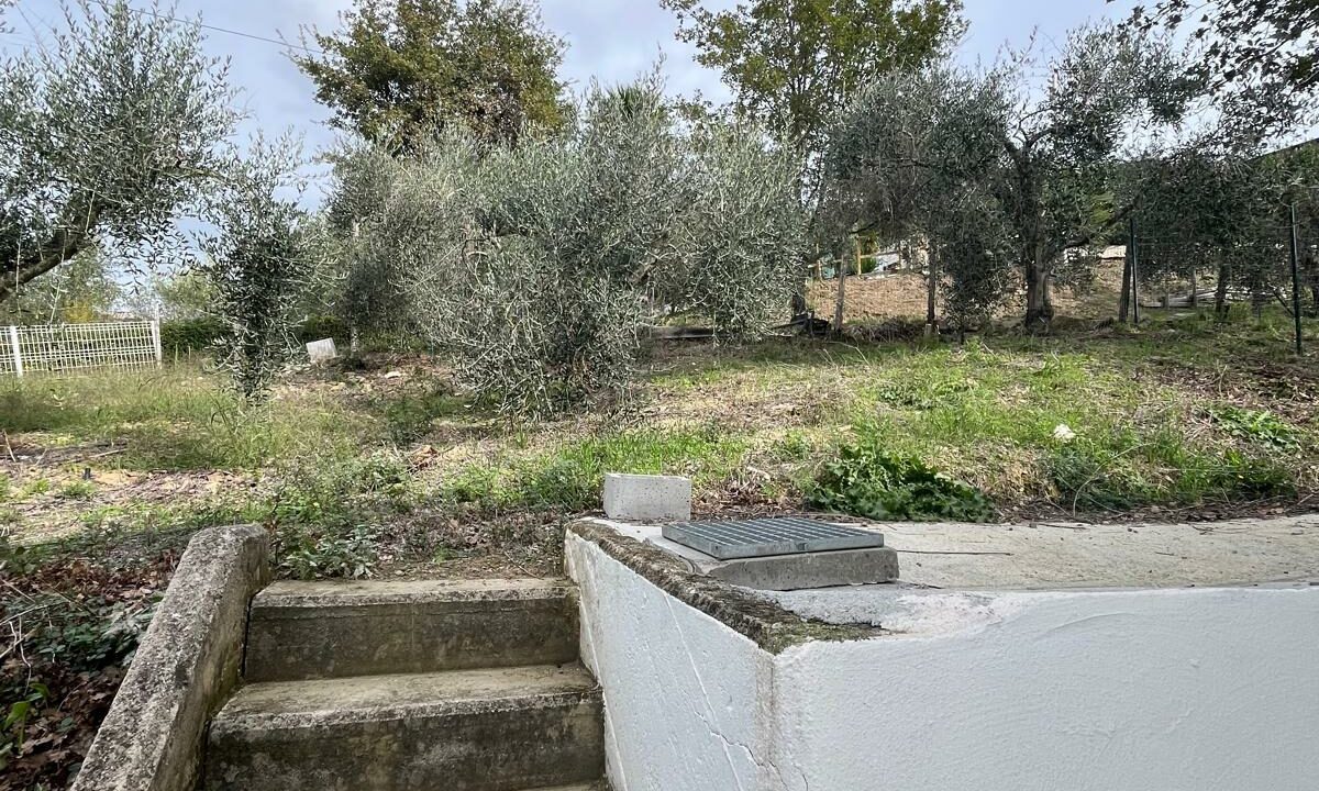 WhatsApp Image 2025-10-30 at 10.53.16 (1)