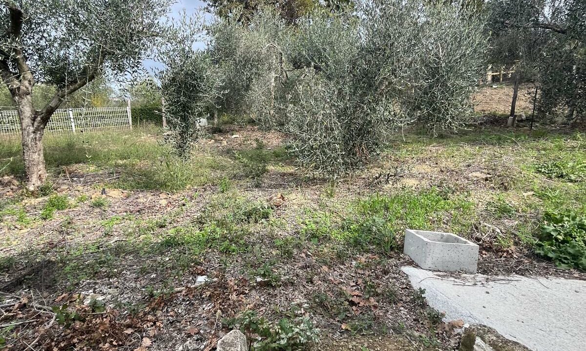 WhatsApp Image 2025-10-30 at 10.53.16 (2)