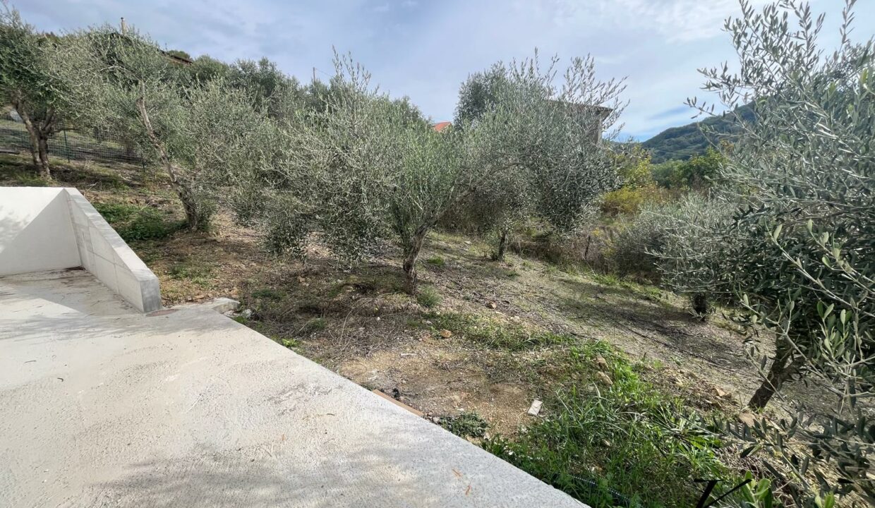 WhatsApp Image 2025-10-30 at 10.53.18