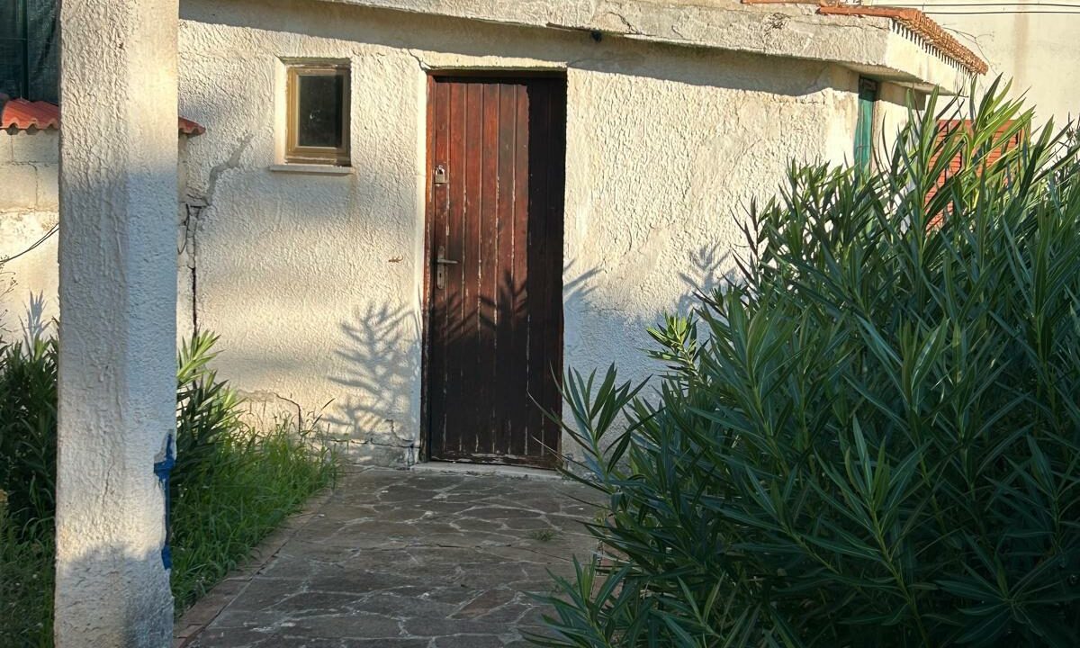 WhatsApp Image 2025-12-13 at 09.40.02 (4)