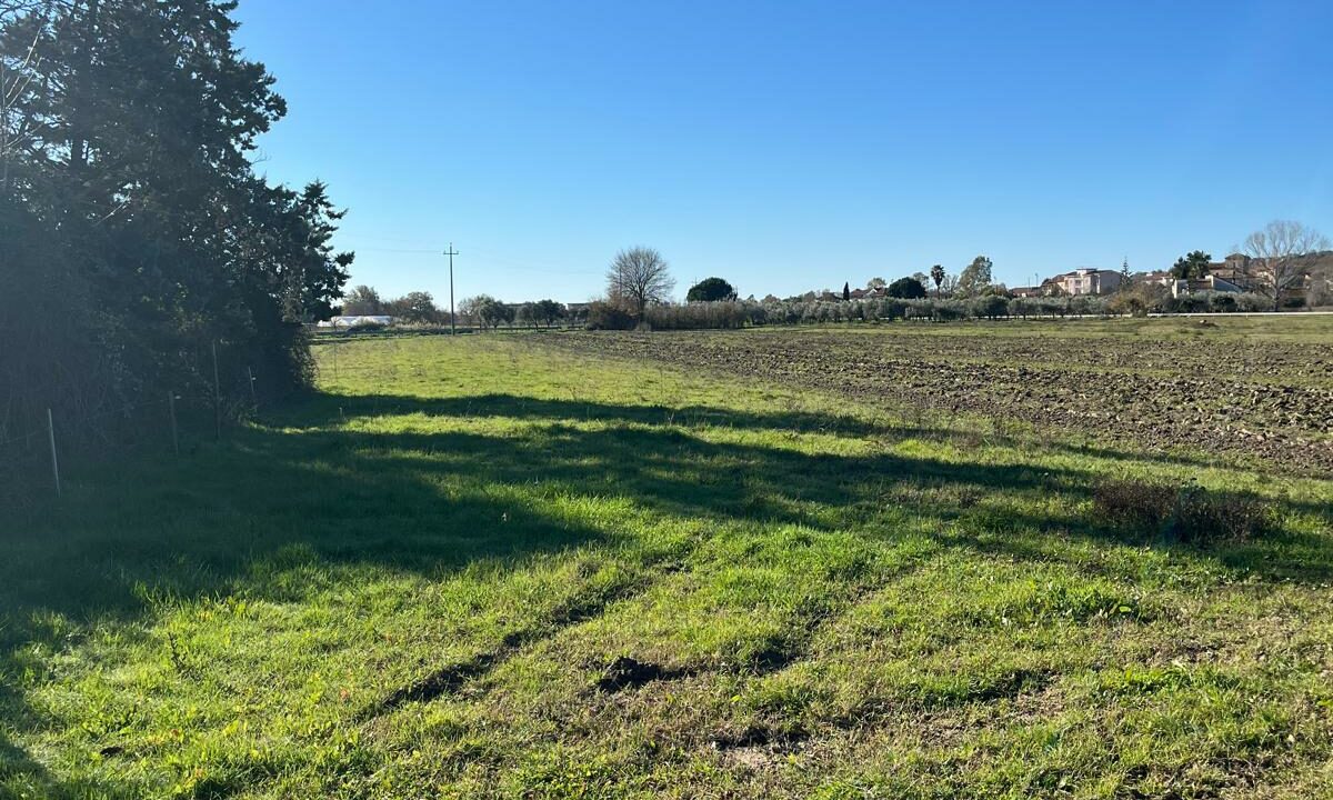 WhatsApp Image 2025-12-29 at 10.37.21 (1)