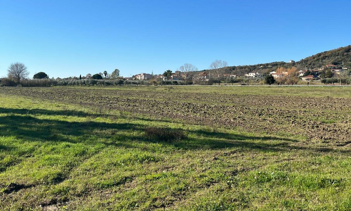 WhatsApp Image 2025-12-29 at 10.37.21 (2)