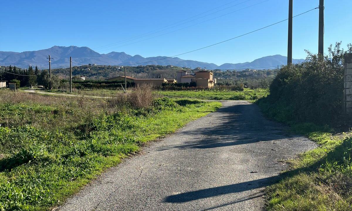 WhatsApp Image 2025-12-29 at 10.37.22 (1)