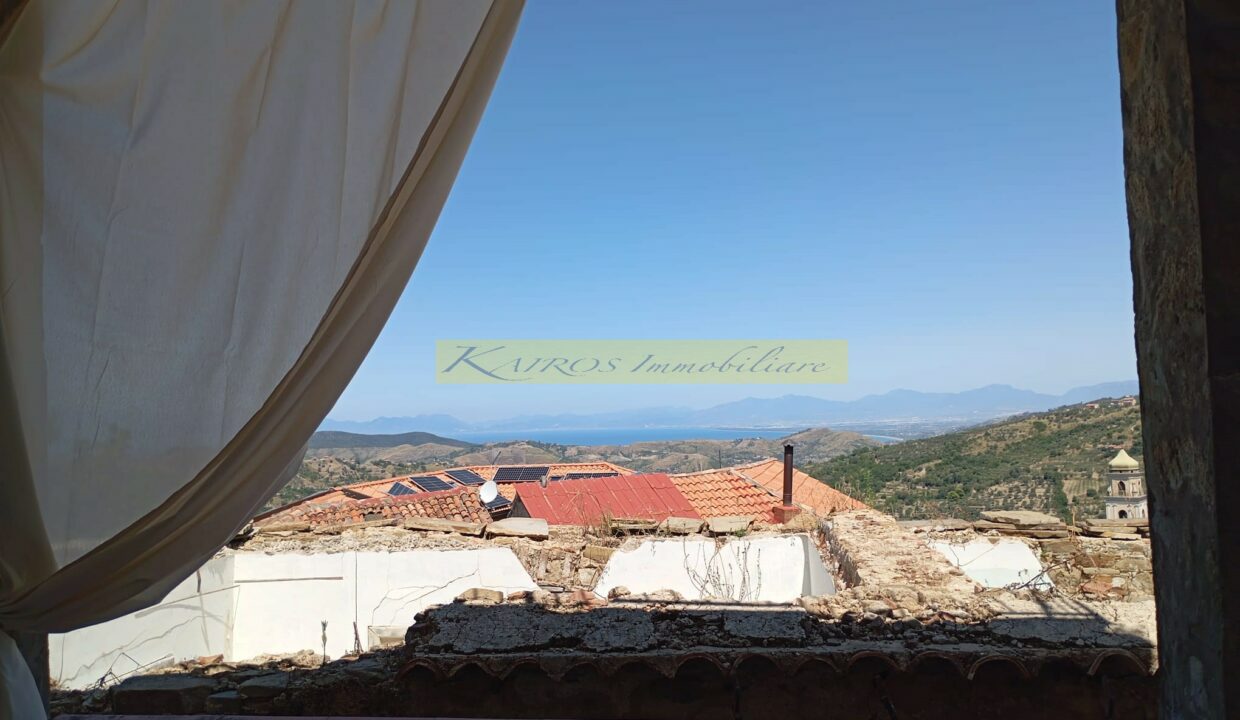 WhatsApp Image 2025-08-06 at 12.14.15