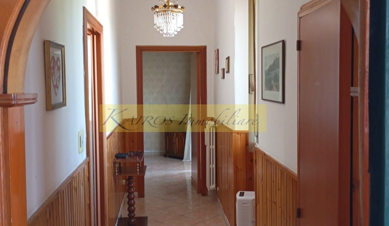 WhatsApp Image 2025-08-06 at 12.14.17