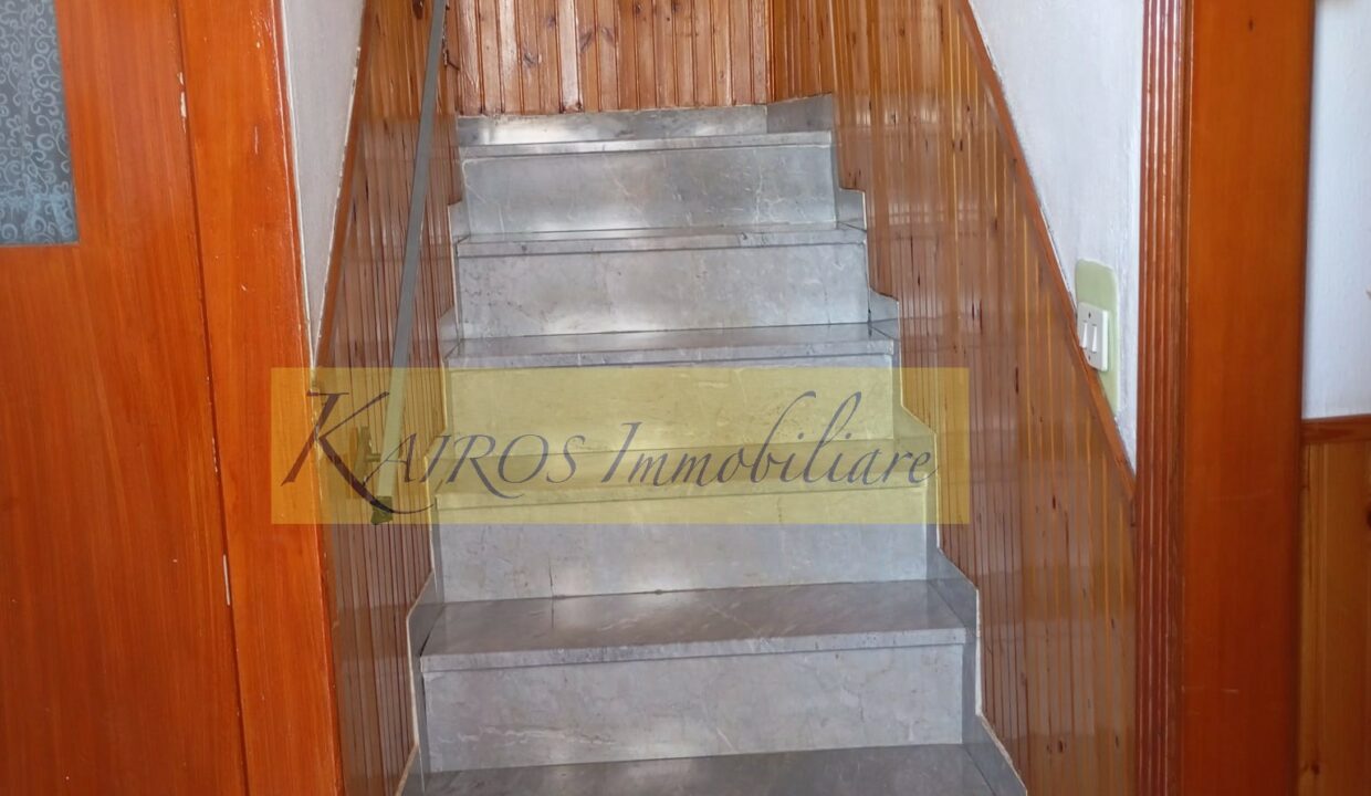 WhatsApp Image 2025-08-06 at 12.14.18