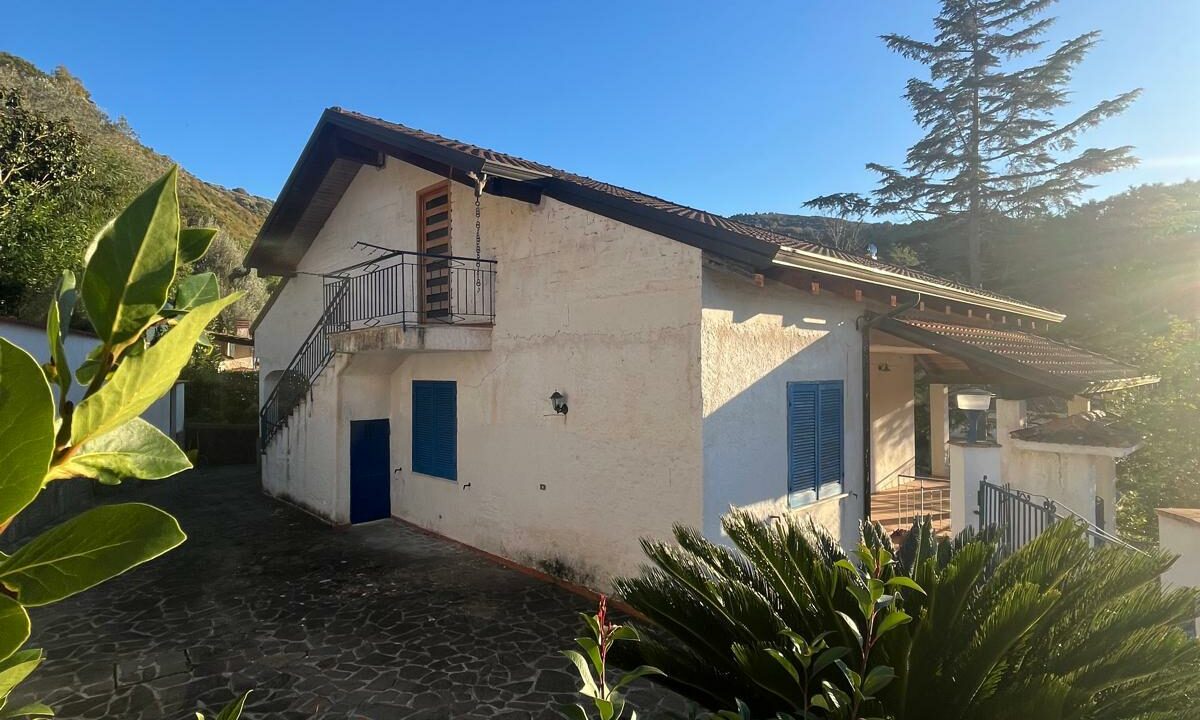 WhatsApp Image 2026-01-08 at 15.49.45