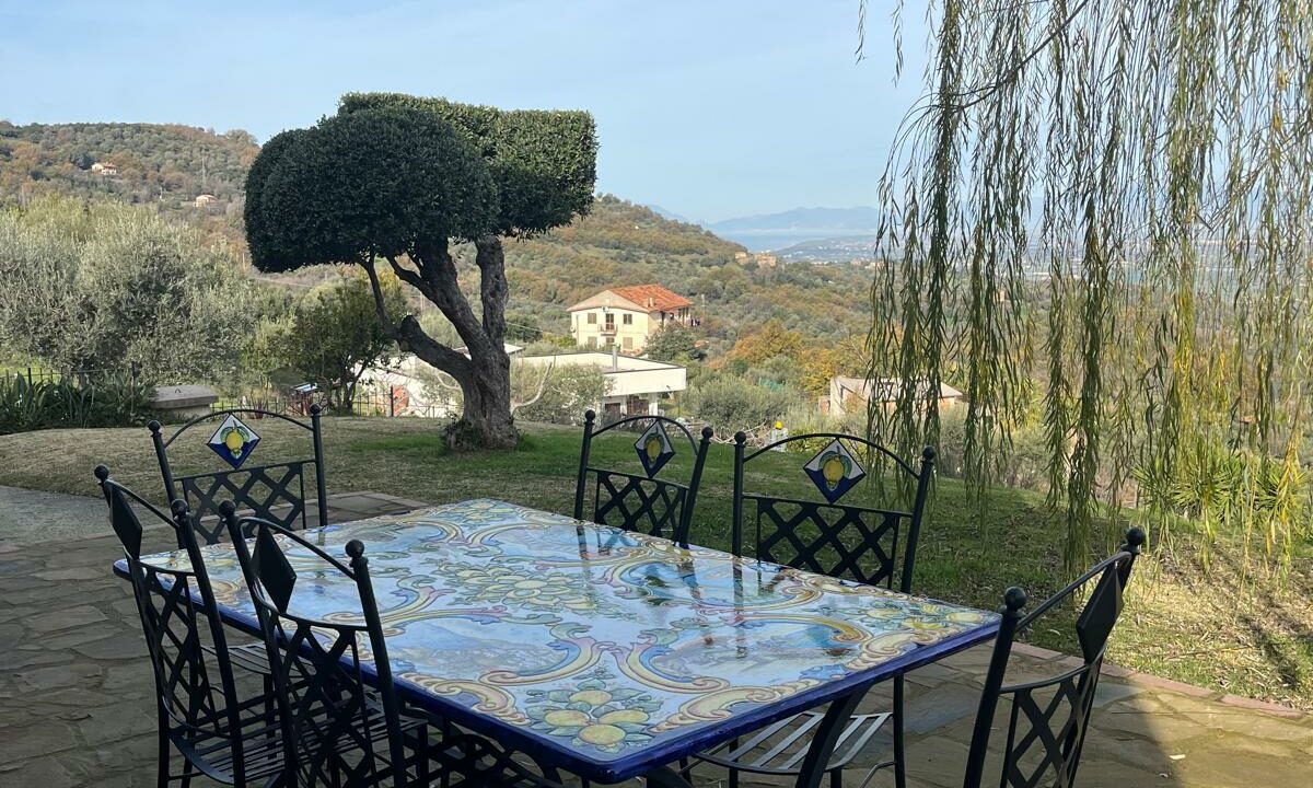 WhatsApp Image 2026-01-16 at 11.15.03 (1)