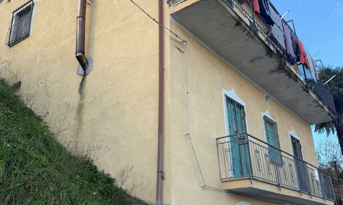 WhatsApp Image 2026-01-17 at 12.47.27