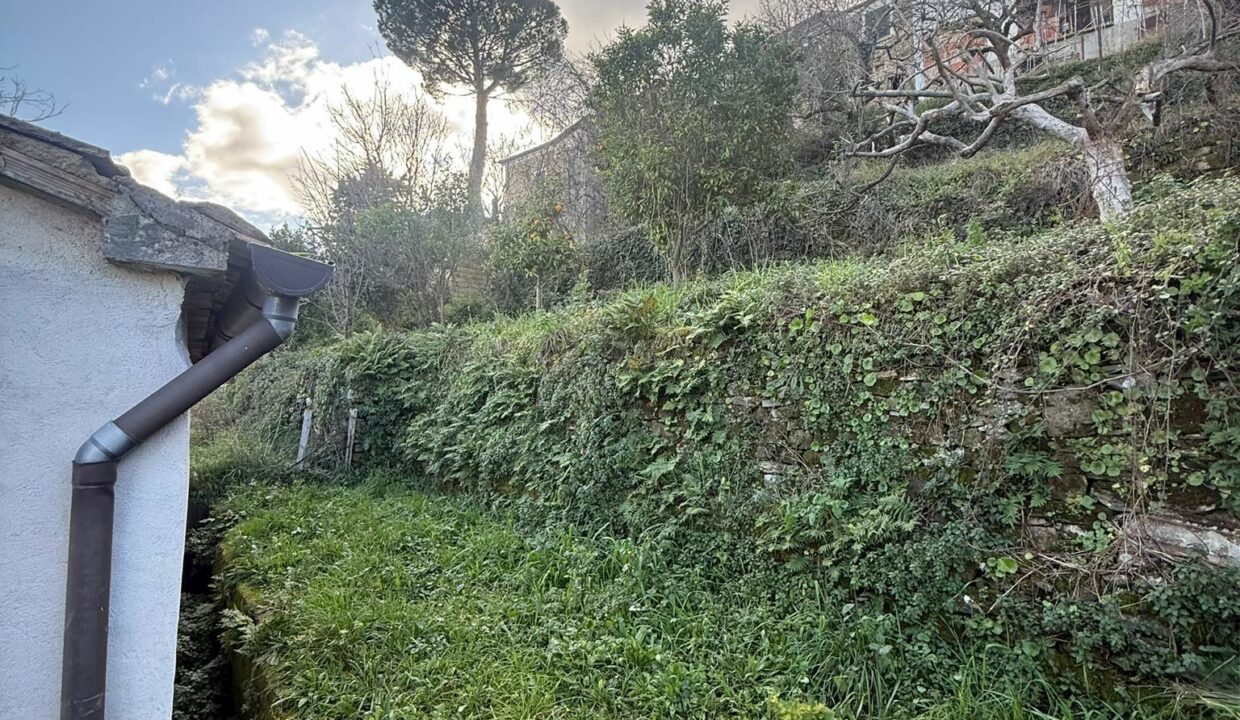 WhatsApp Image 2026-01-17 at 12.47.27 (2)