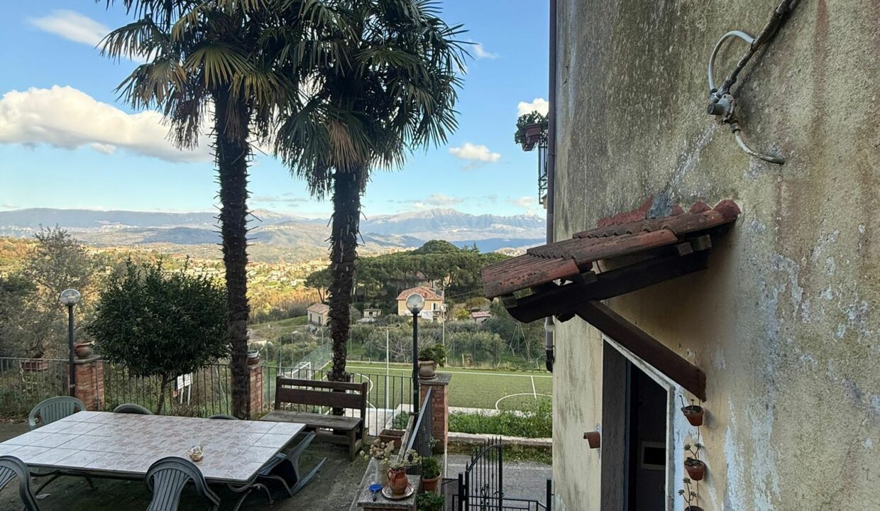 WhatsApp Image 2026-01-17 at 12.47.27 (3)