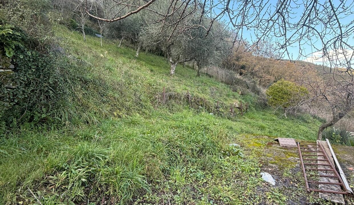 WhatsApp Image 2026-01-17 at 12.47.27 (4)