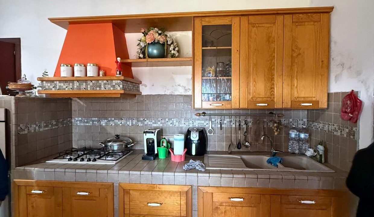 WhatsApp Image 2026-01-17 at 12.47.28 (5)